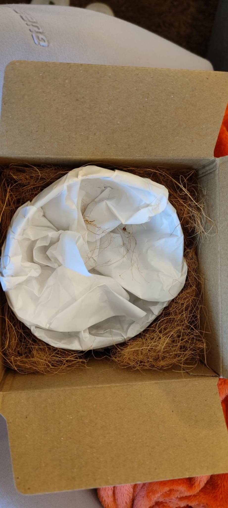Geschenk war ein Volltreffer