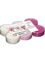 villaverde-duft-teelichter-8h-6er-scented-tealight-im-transparenten-becher image 3