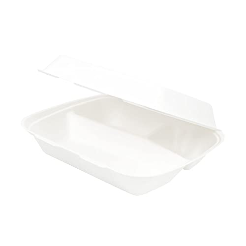 biozoyg-zuckerrohr-men-box-3-geteilt-25x20x7-5cm-50-st-ck image 6