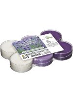 villaverde-duft-teelichter-8h-6er-scented-tealight-im-transparenten-becher image 5