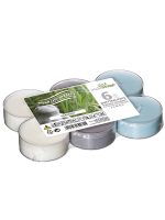 villaverde-duft-teelichter-8h-6er-scented-tealight-im-transparenten-becher image 7