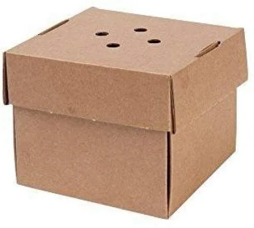 biozoyg-burger-box-kraftkarton-13x13x10-cm-100-st-ck-mit-klappdeckel image 1