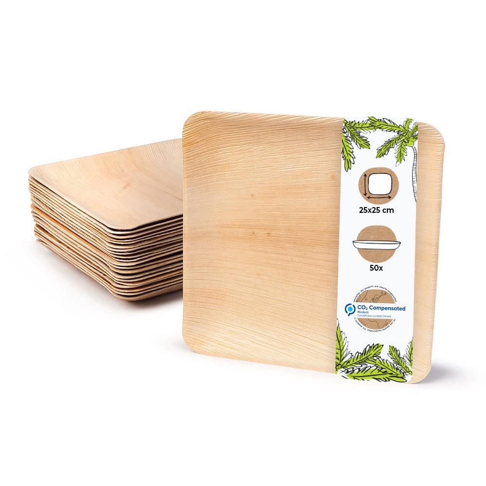 biozoyg-palmblatt-teller-25x25-cm-50-st-ck-kompostierbar image 1