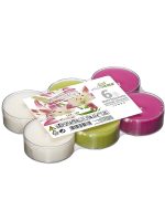 villaverde-duft-teelichter-8h-6er-scented-tealight-im-transparenten-becher image 4