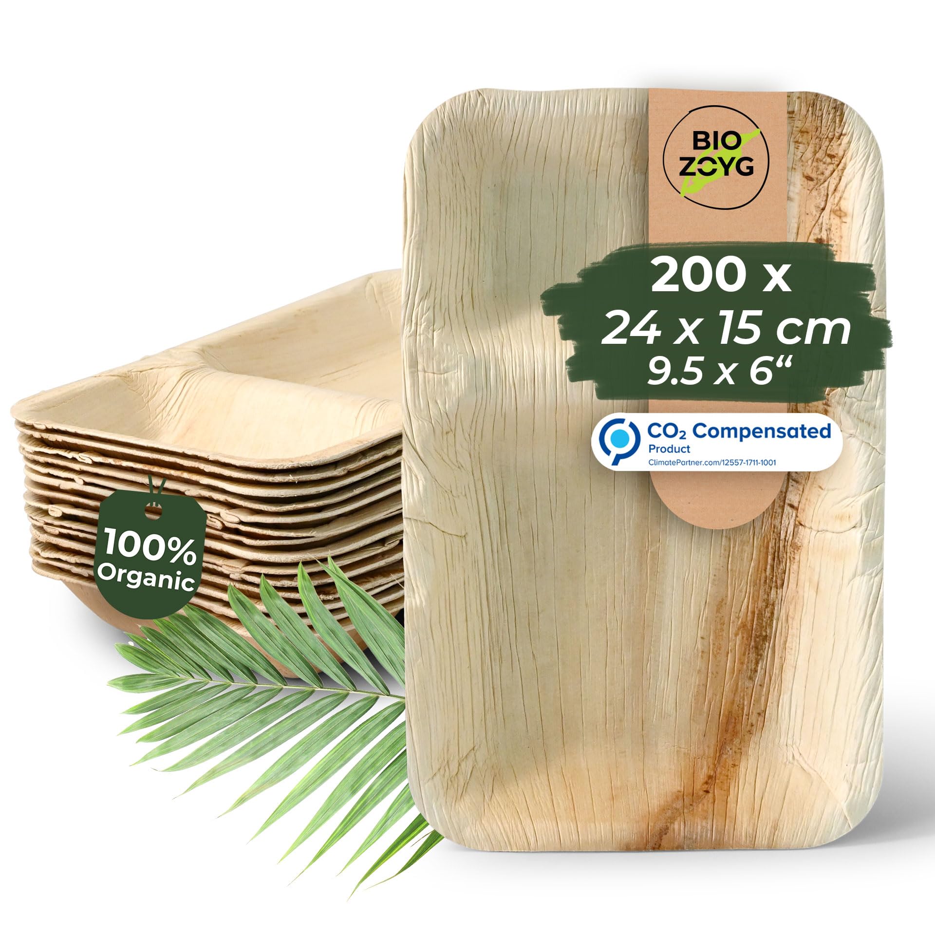 biozoyg-men-teller-palmblatt-24x15-cm-2-kammern-25-st-ck-rechteckig image 8