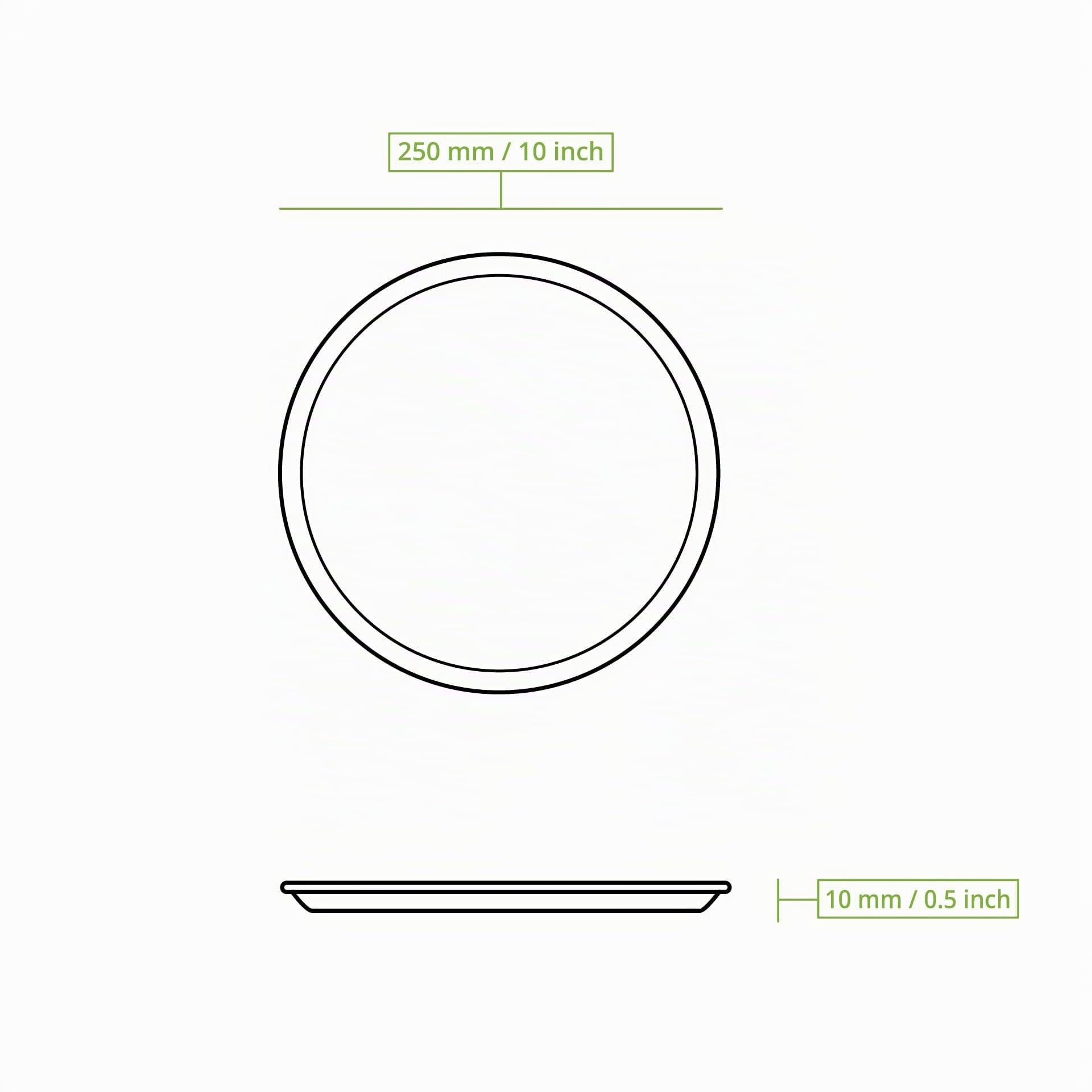 biozoyg-pizzateller-aus-palmblatt-rund-25-cm-25-st-ck-mit-rand image 4