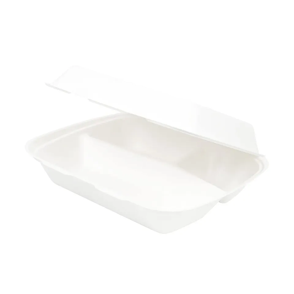 biozoyg-zuckerrohr-men-box-3-geteilt-25x20x7-5cm-50-st-ck image 1